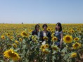 /album/fotogaleria/girasoles-finca-san-ygnacio-18-jpg/